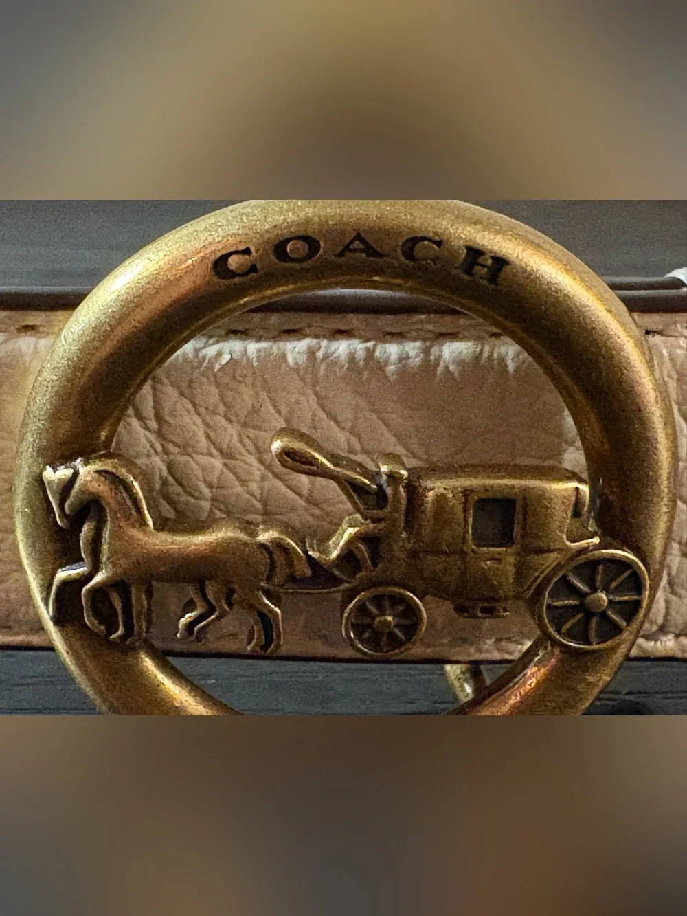 COACH Chalk White Pebble Leather Horse and Carriage Plaque Buckle Belt L F78181